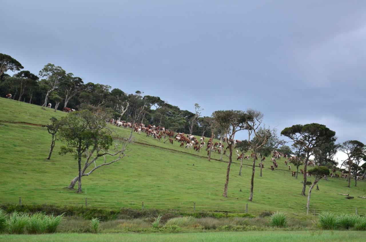 Yensfield Blackpool Nuwara Eliya Kültér fotó