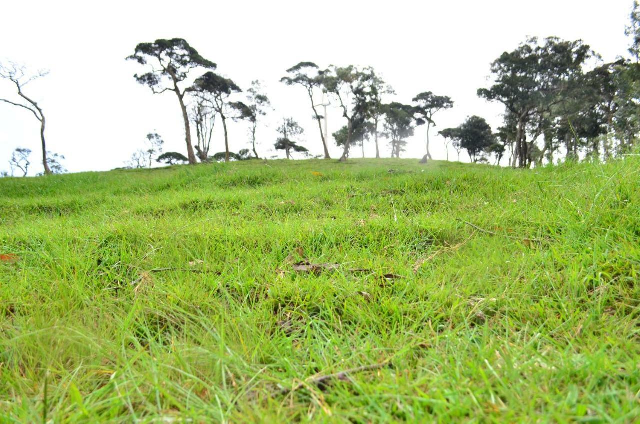 Yensfield Blackpool Nuwara Eliya Kültér fotó