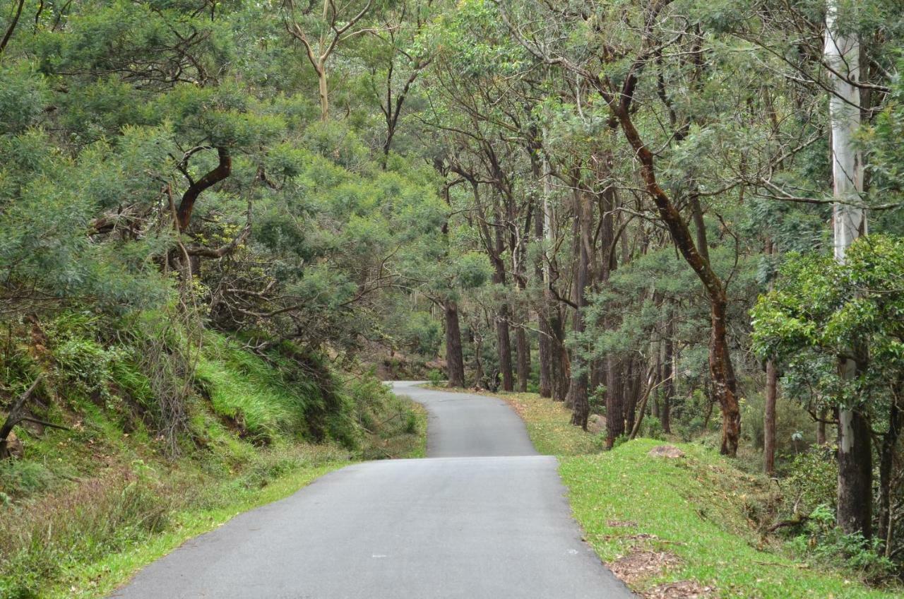 Yensfield Blackpool Nuwara Eliya Kültér fotó