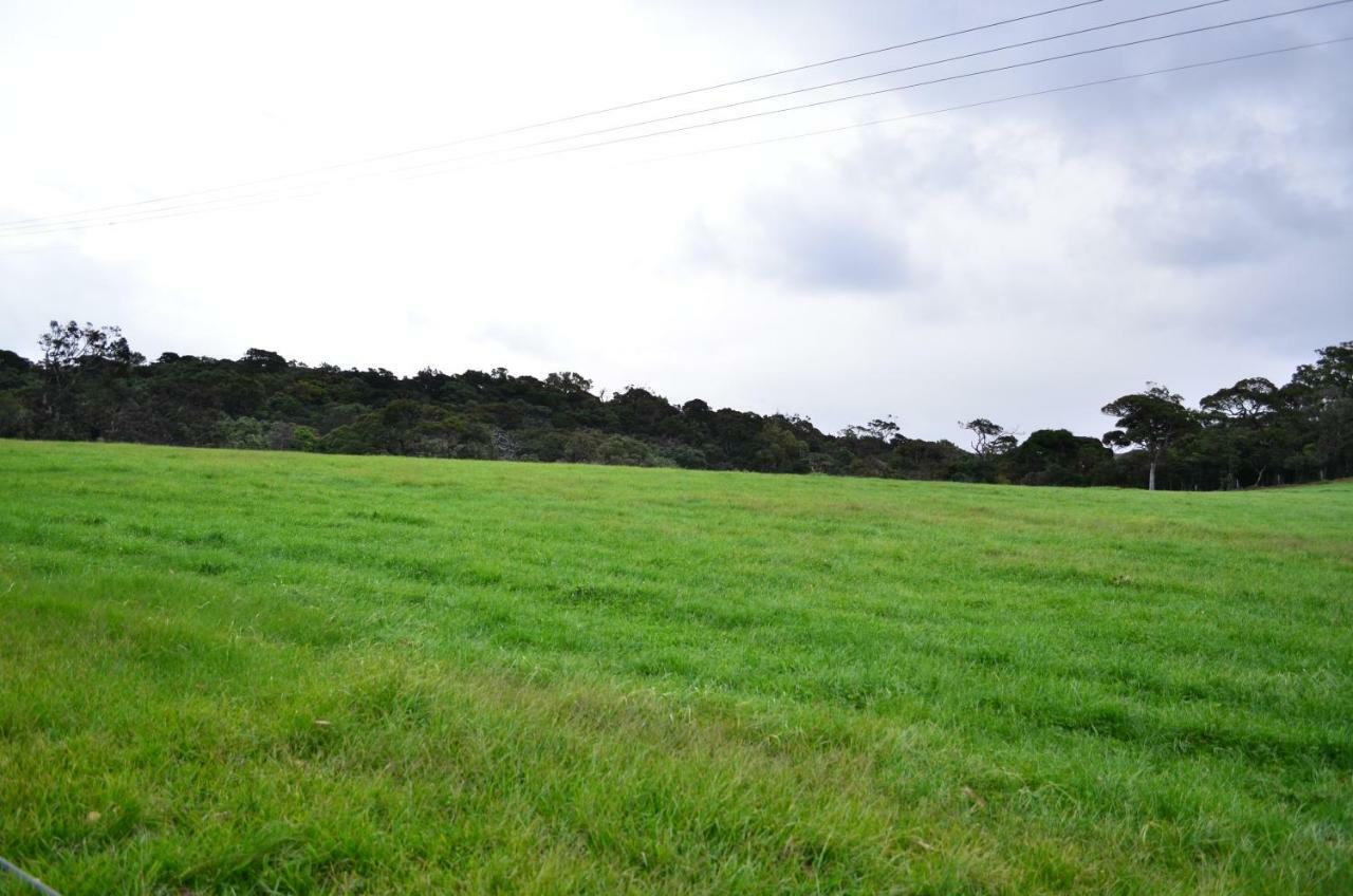 Yensfield Blackpool Nuwara Eliya Kültér fotó